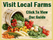 Visit Local Farms