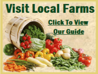 Visit Local Farms
